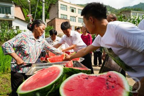 日本娱乐吃瓜,揭秘明星幕后故事与八卦传闻