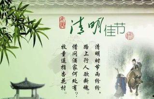 跟网红相关的名言