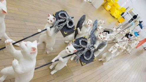 娱乐吃瓜君破防,揭秘娱乐圈背后的真相与泪点